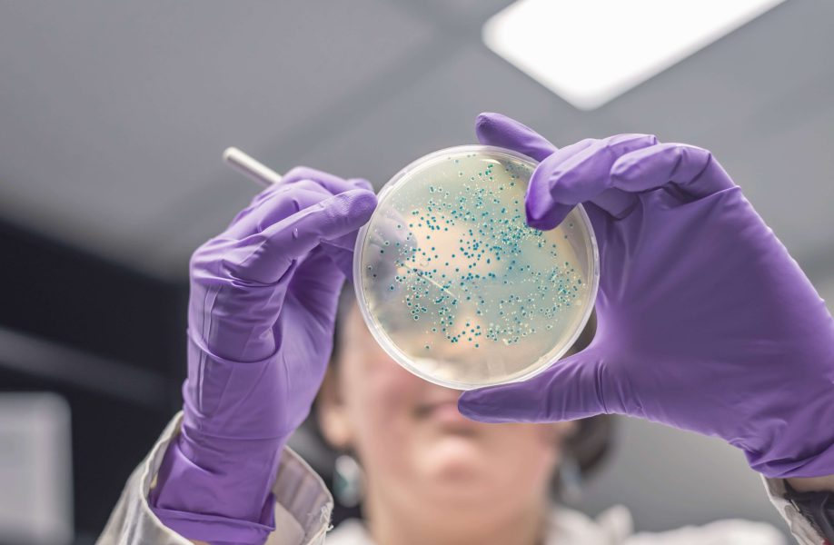 WeCan_Blog_Veterinario_57F